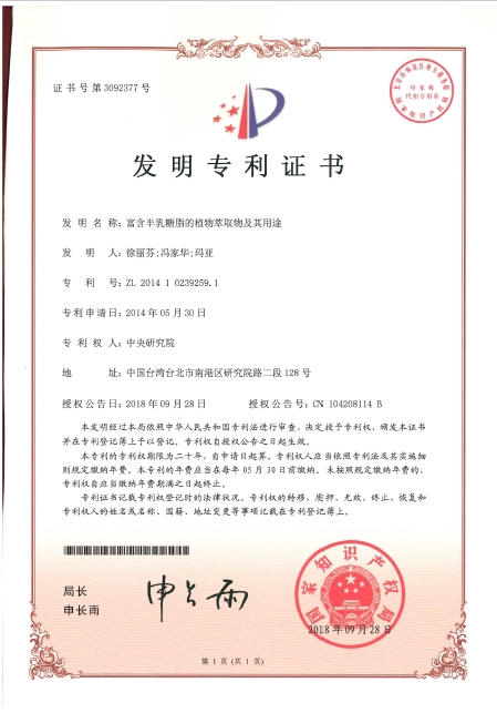 中國 中國