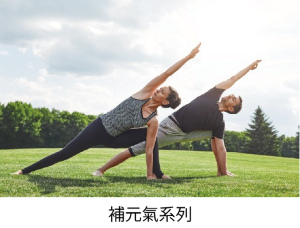 補元氣系列 補元氣系列