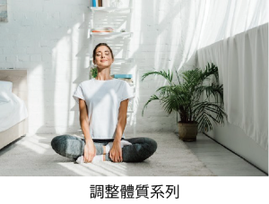 調整體質系列 調整體質系列