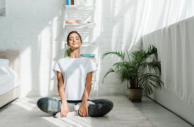 Body Regulation Series