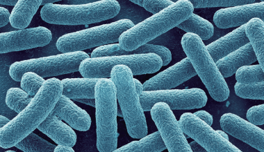 BRETIDE™ (NLP5™) - Relieving allergy symptoms / Enhance Immune system