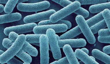 BRETIDE™ (NLP5™)