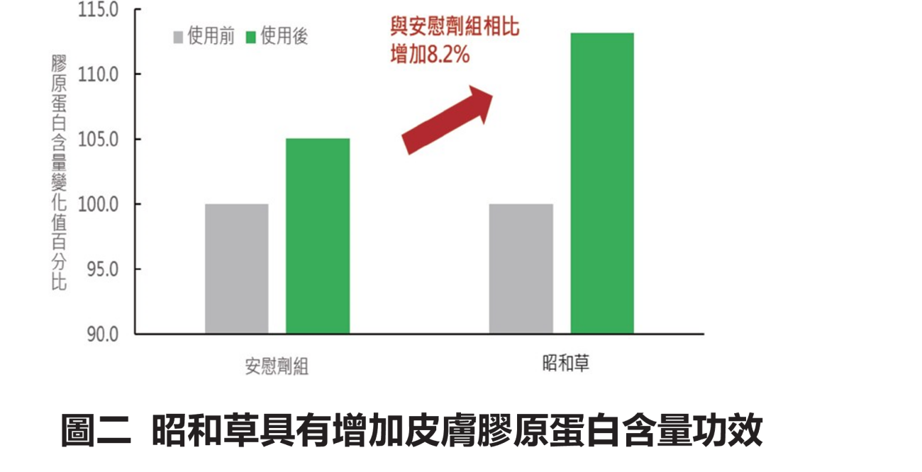 昭和草圖2 昭和草圖2