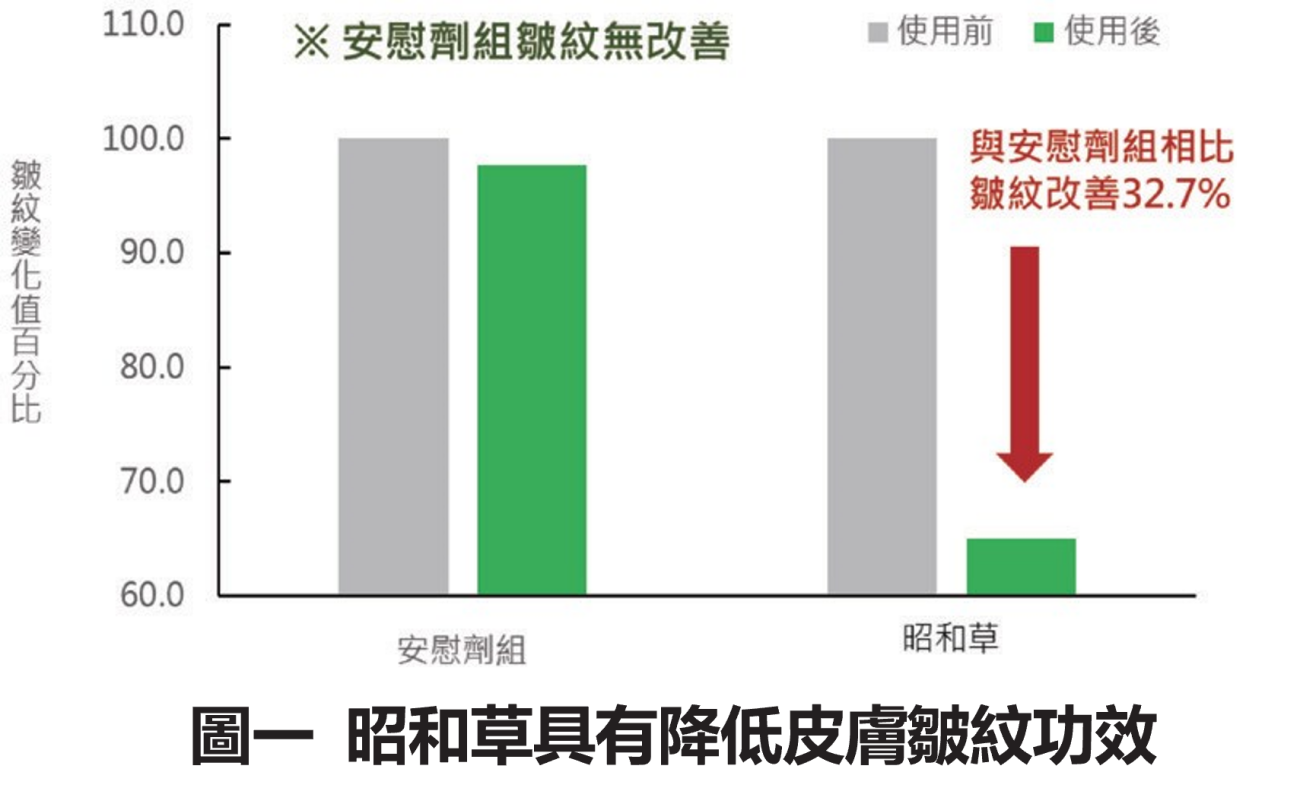 昭和草圖1 昭和草圖1
