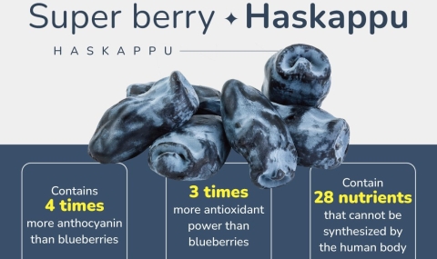 Next-Generation Super Berry-Haskappu-Blue honey suckle berry