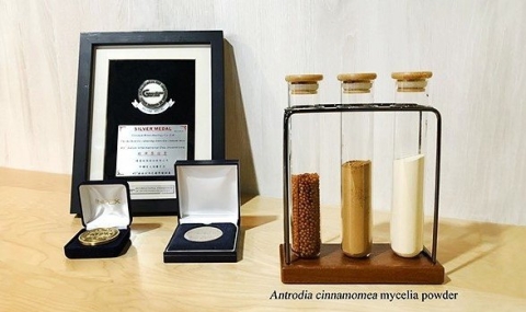 A new hope for immune modulation, antioxidation, and livercare: Antrodia cinnamomea mycelia (Antromax®)