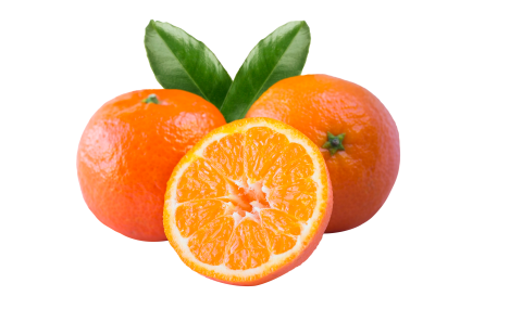 食品資訊雜誌311期：新一代超級柑橘類黃酮   全面新清脂對策