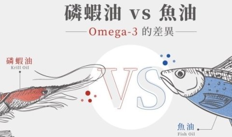 磷蝦油Omega-3 & 魚油Omega-3 的差異比較