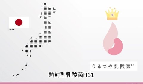 保水保濕 養顏護膚新秀 日本專利熱封型乳酸菌