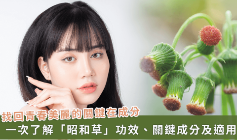 昭和草是什麼？專家解析養顏美容，找回青春美麗的關鍵成分、好處、適合族群與最佳搭配
